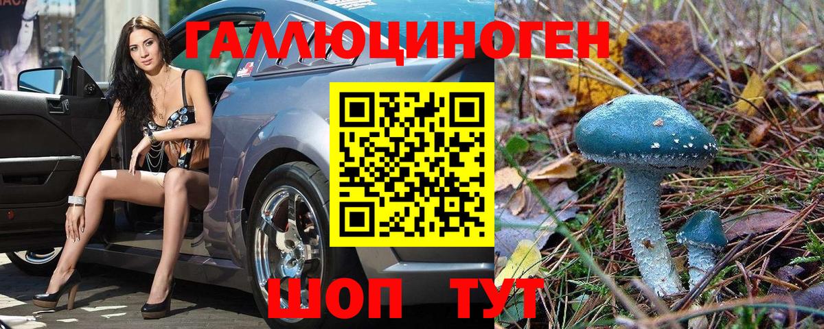 Псилоцибиновые грибы мицелий  Вход с VPN  Кострома 