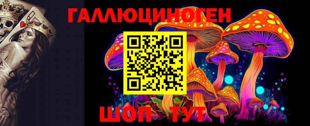 Псилоцибиновые грибы прущие грибы Кострома